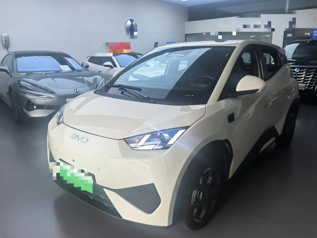 Open image lightbox: BYD 2025 Seagull 405km Flying Edition Automatic Gear