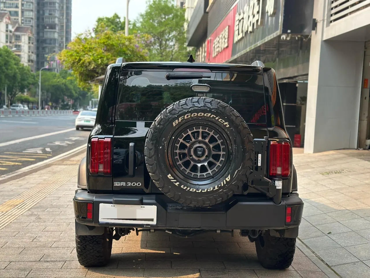 Tank 2025 Tank 300 2.4T Diesel Edition Automatic Gear 8