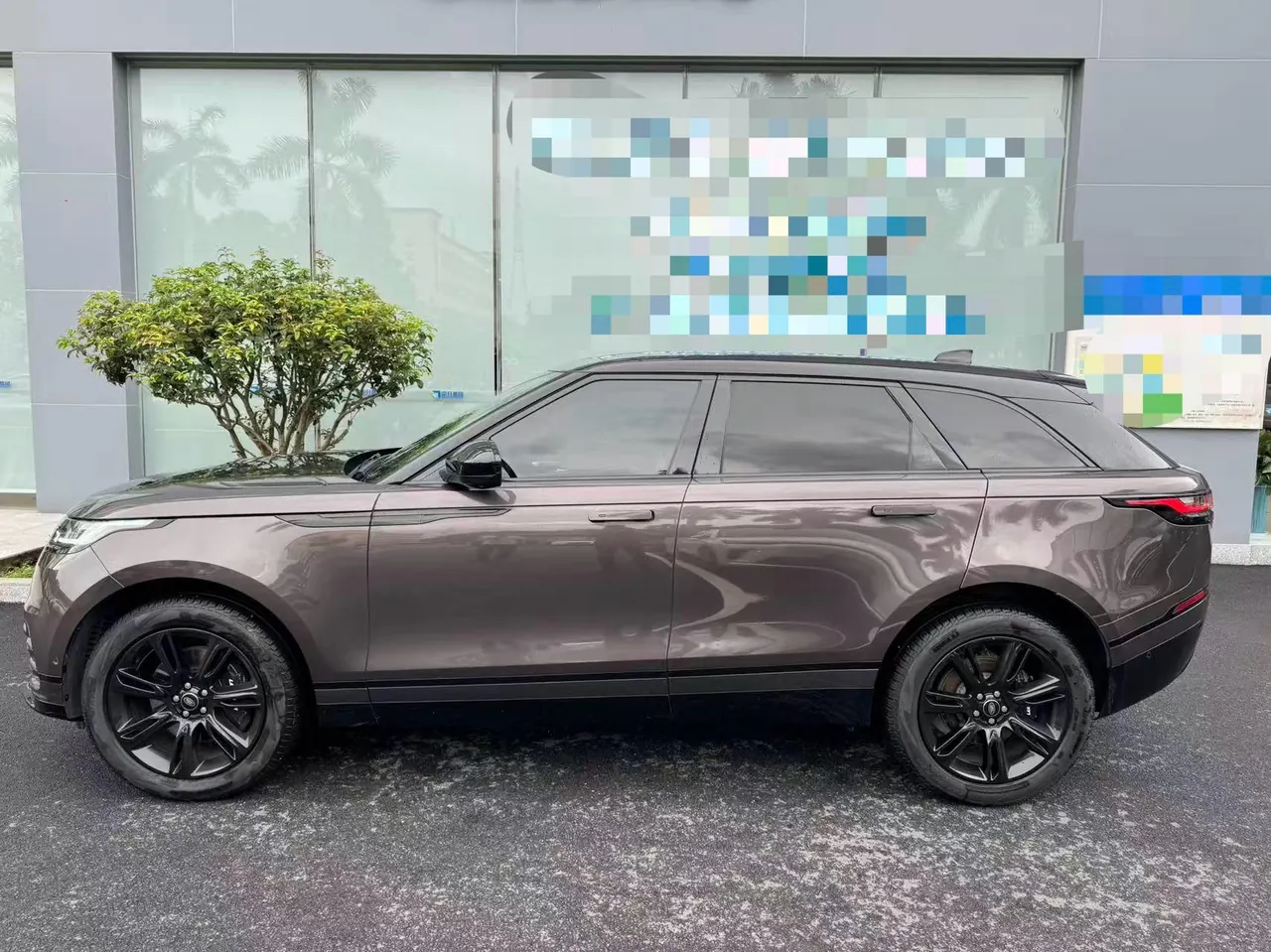 Land Rover Range Rover Star Vein (Imported) 2023 Range Rover Star Vein 2.0T 250PS Gold Collector's Edition Automatic Gear 3