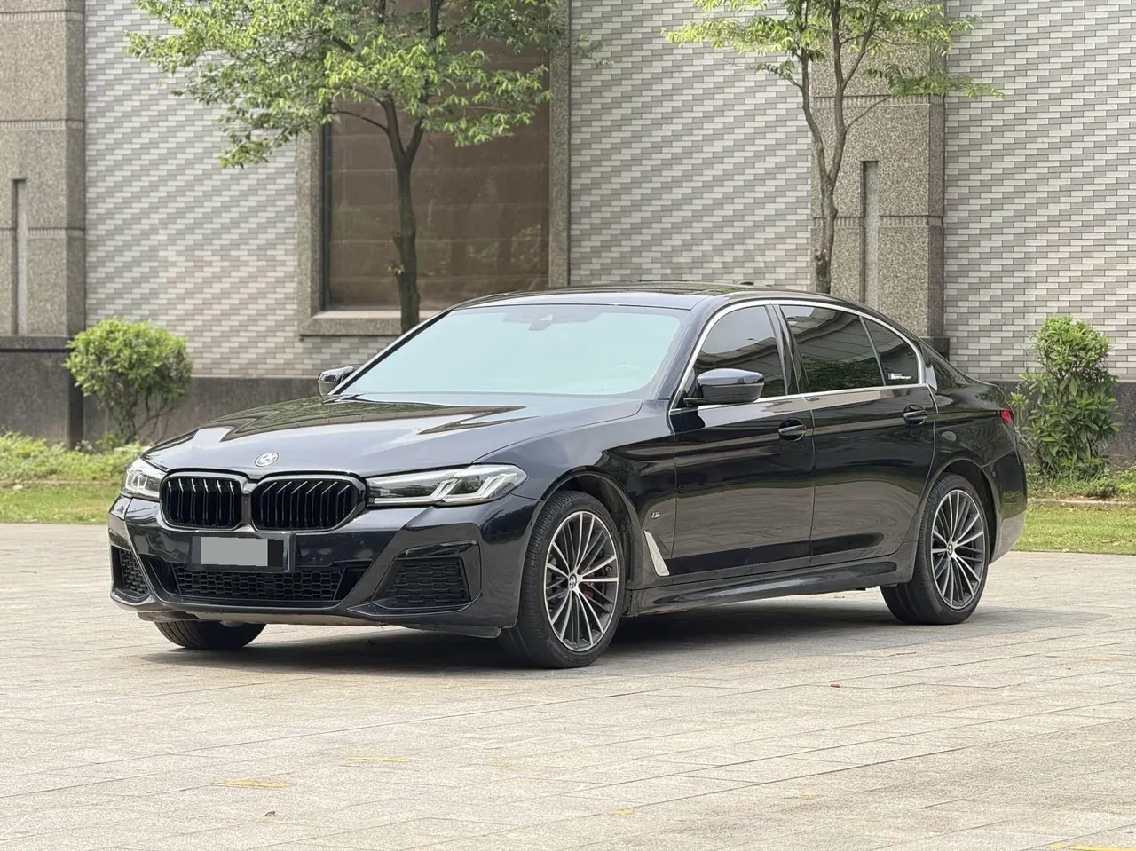 BMW 5 Series 2021 530Li xDrive 2.0T M Sports Suit Automatic Gear - View 1