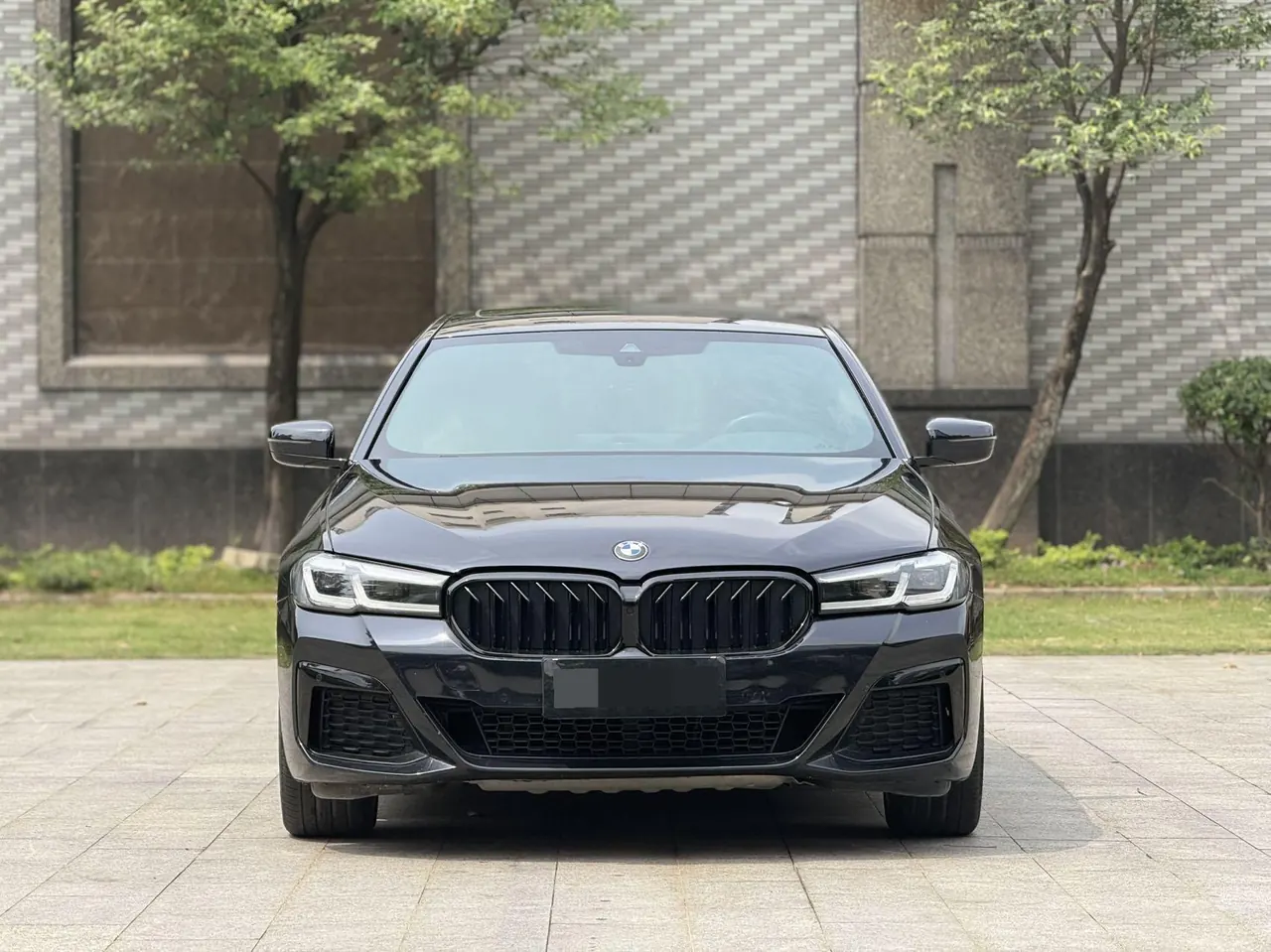 BMW 5 Series 2021 530Li xDrive 2.0T M Sports Suit Automatic Gear 2