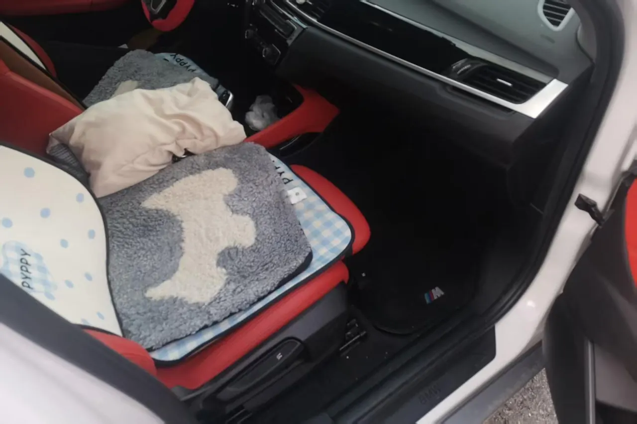 BMW 2020 X2 sDrive20i 1.5T M off-road set automatic gear 5