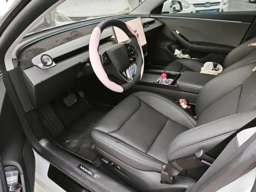 Tesla 2025 Model 3 Rear-Wheel-Drive Edition (facelift) Automatic Transmission 10