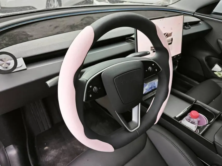 Tesla 2025 Model 3 Rear-Wheel-Drive Edition (facelift) Automatic Transmission 5