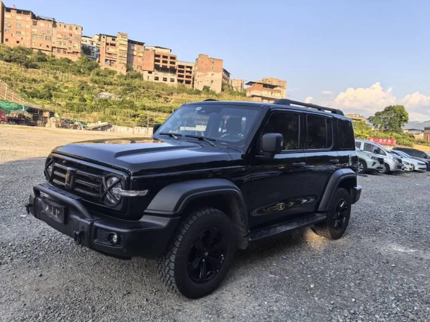 Tank 2021 Tank 300 2.0T Off-road Conqueror Automatic - View 1