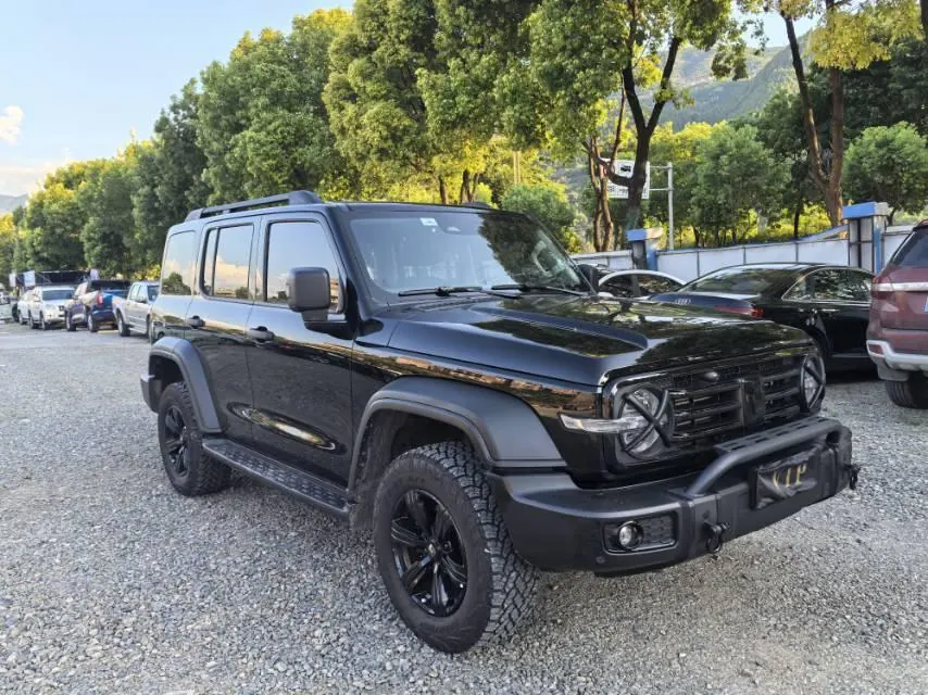 Tank 2021 Tank 300 2.0T Off-road Conqueror Automatic 3