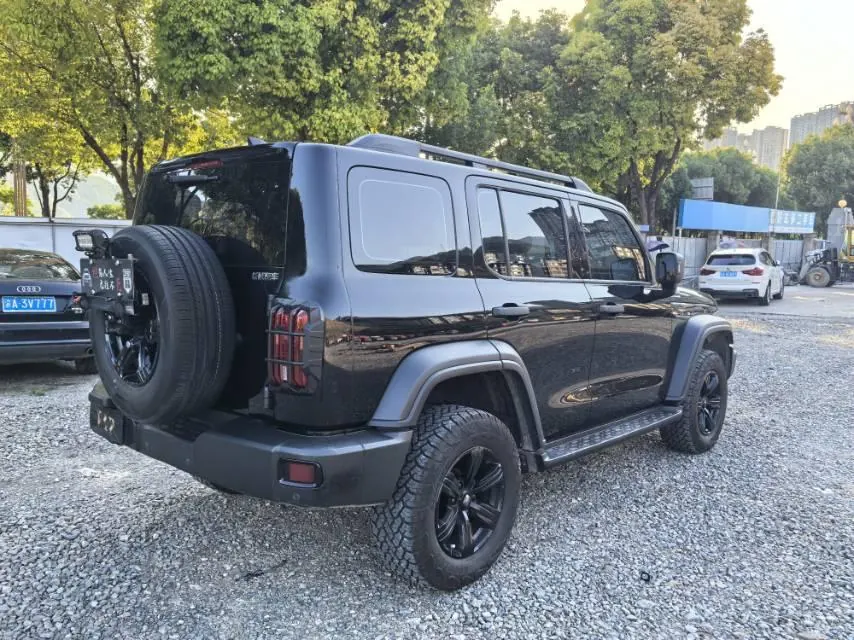 Tank 2021 Tank 300 2.0T Off-road Conqueror Automatic 8