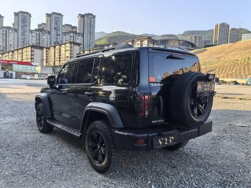 Tank 2021 Tank 300 2.0T Off-road Conqueror Automatic 9