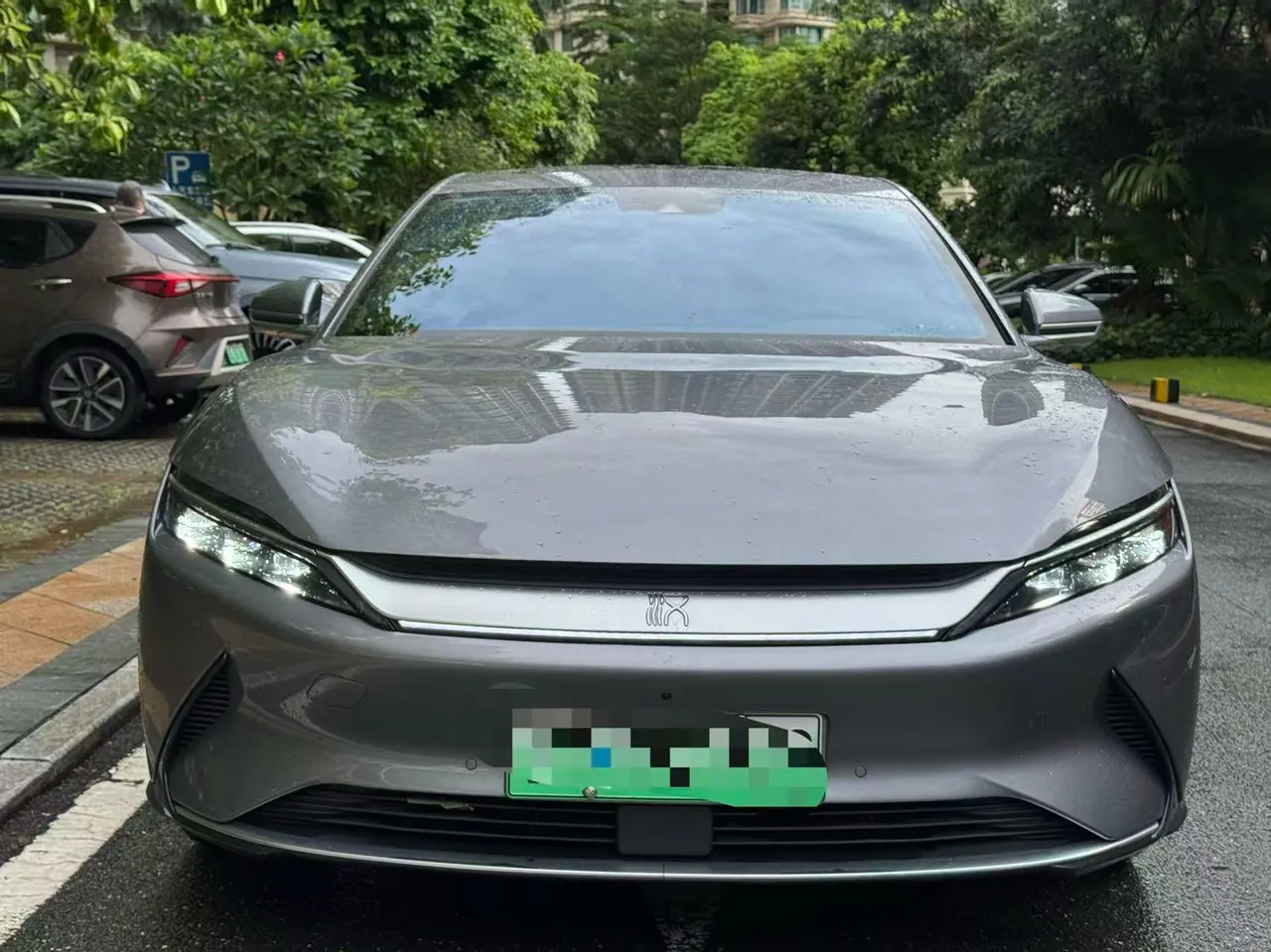 BYD 2021 Chinese Standard Endurance Edition Deluxe Automatic Transmission 2