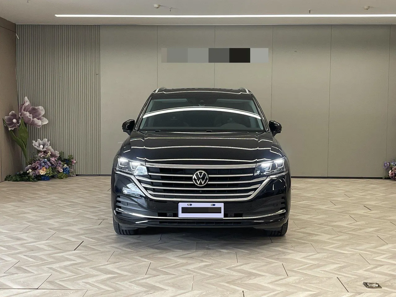 Volkswagen 2024 Wei (Viloran) 2.0TSI 380TSI Zunchi Edition Automatic Gear 7