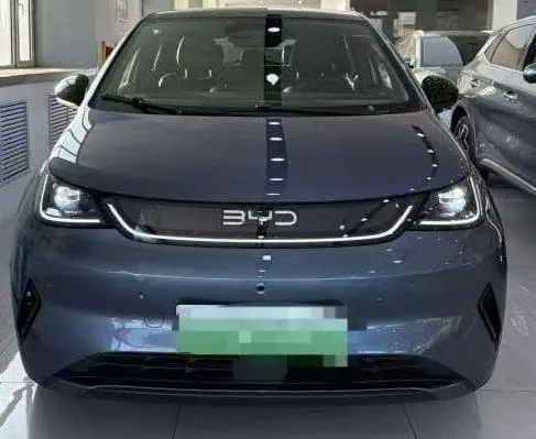BYD 2025 Dolphin Smart Driving 410km Fashion Automatic Gear 2
