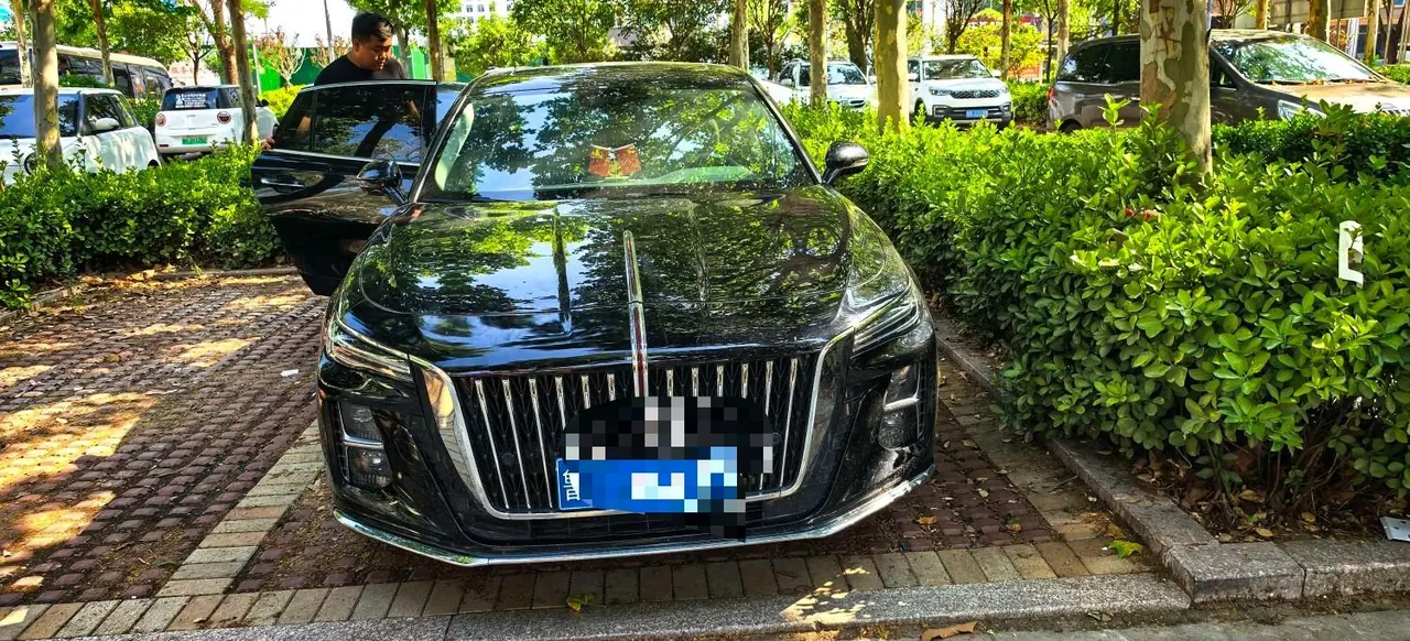 HongQi 2024 H5 1.5T Zhilian Flag Rhyme Edition Automatic Gear 3