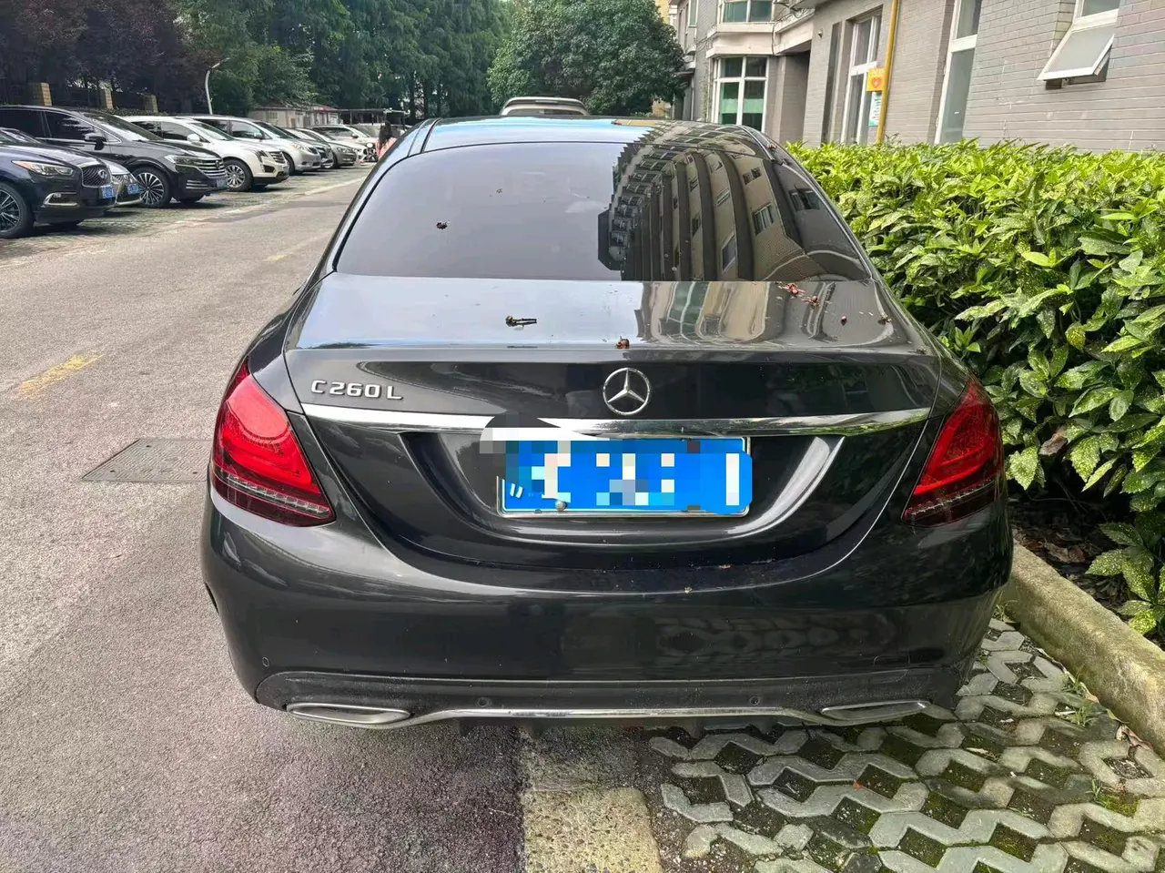 Mercedes Benz Class C 2020 C 260 L 48V 1.5T Sports Edition Automatic Gear 6
