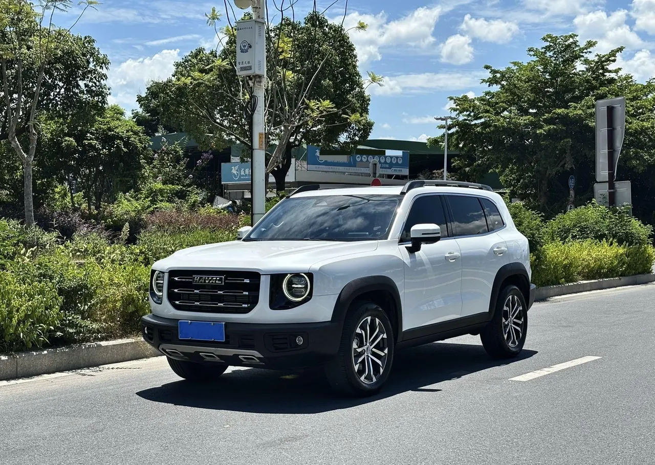 Haval 2020 big dogs 1.5T border animal husbandry version of automatic gear - View 1