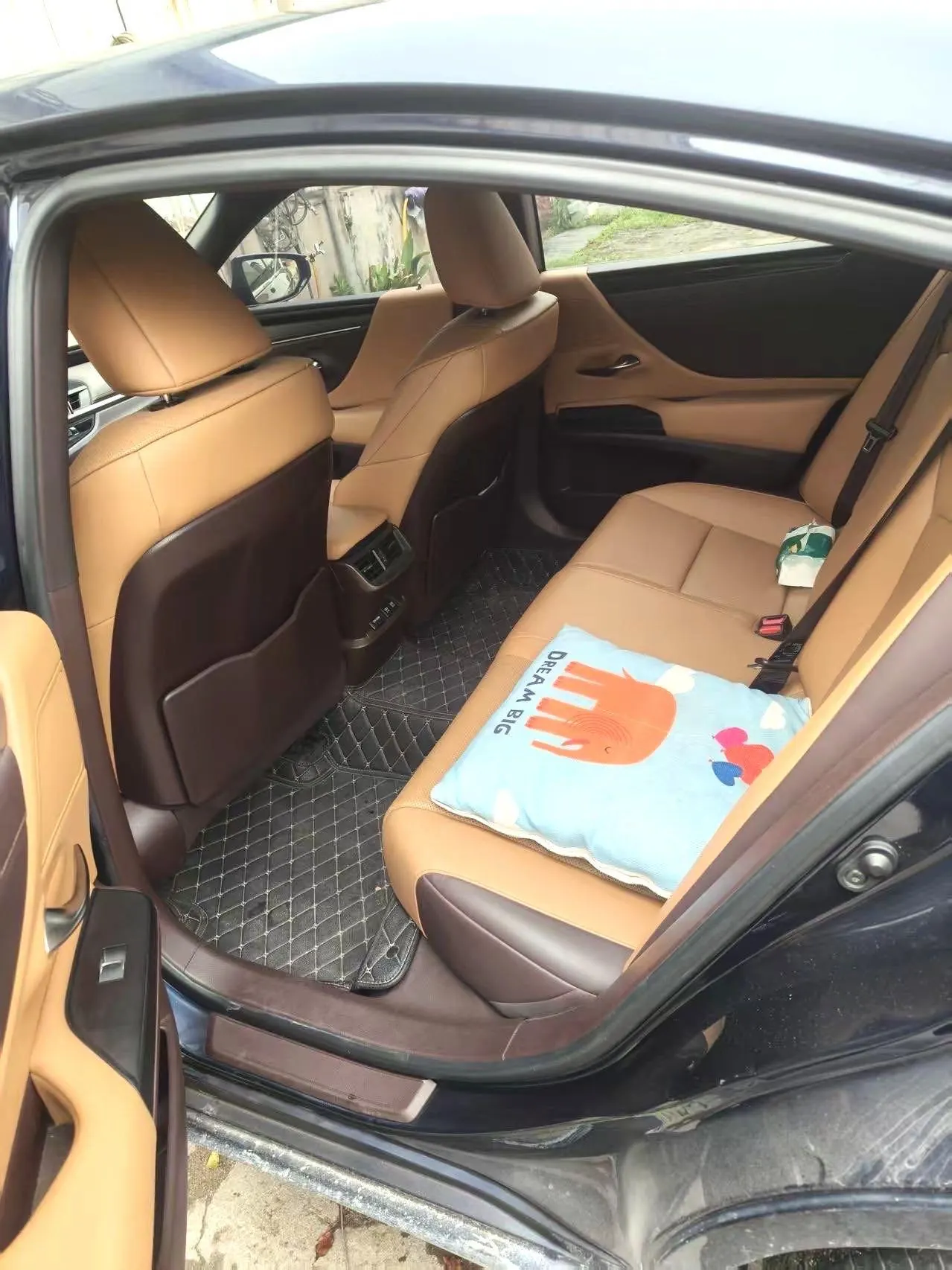 Lexus ES (Imported) 2020 ES200 2.0 Stepless Premium Edition Automatic Gear 6