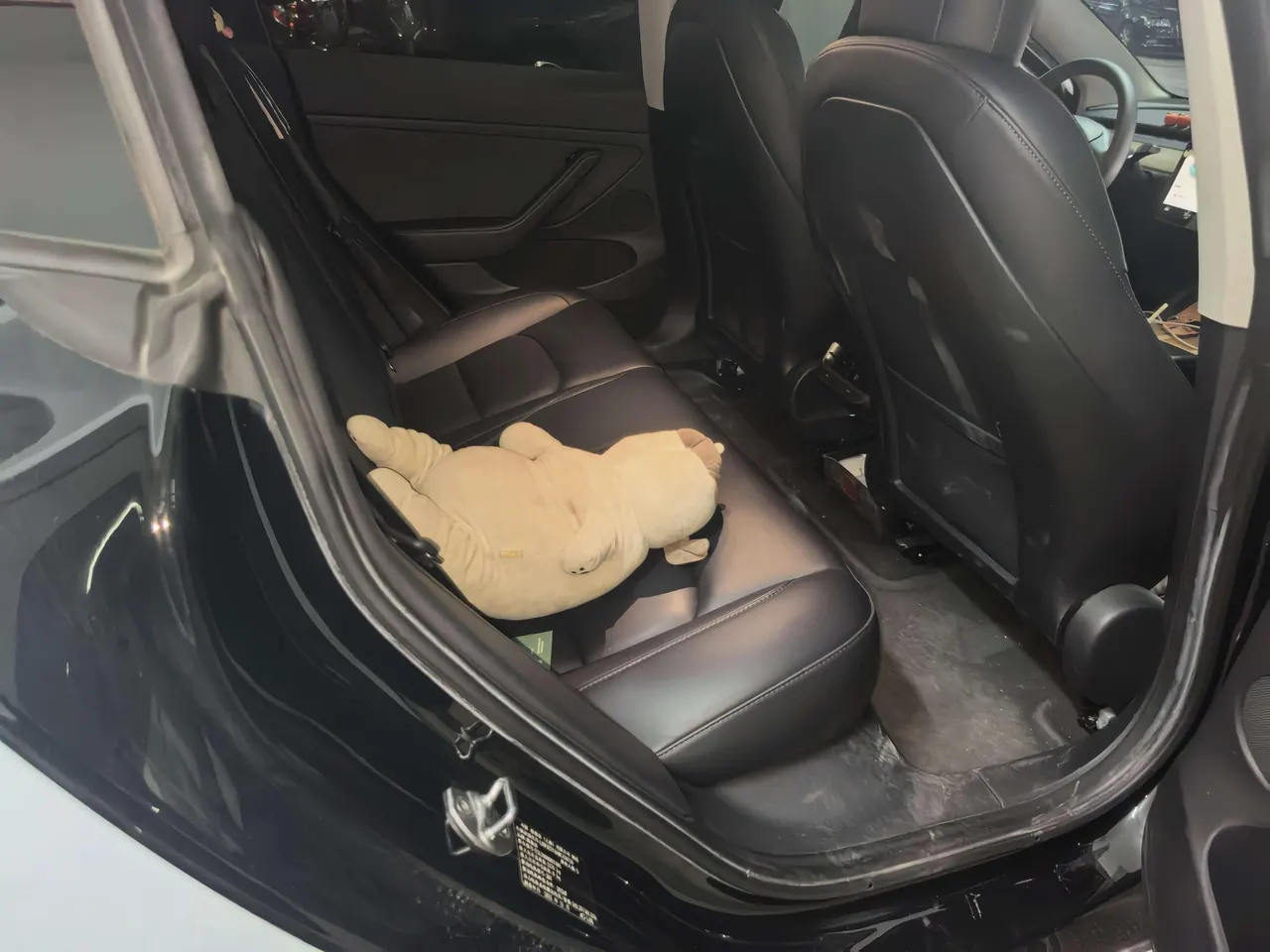 Tesla 2021 Model 3 Standard Endurance Rear Drive Upgraded Automatic Gear 4