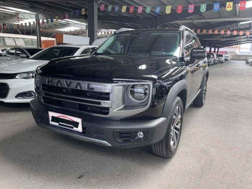 Haval 2024 big dogs 1.5T border animal husbandry version of automatic gear - View 1