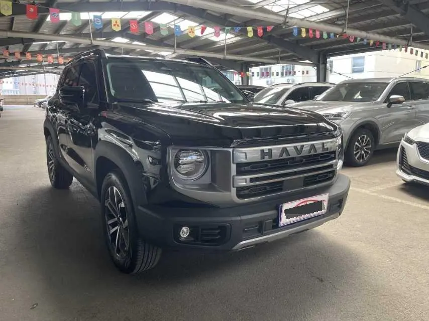 Haval 2024 big dogs 1.5T border animal husbandry version of automatic gear 3