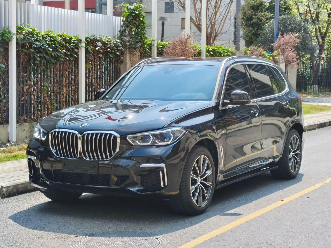 BMW 2022 X5 xDrive 30Li 2.0T exclusive m sports suit automatic gear - View 1