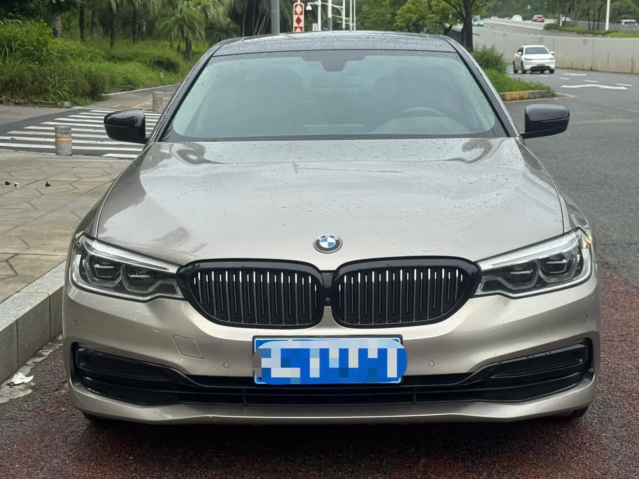 BMW 5 Series 2020 530Li 2.0T Premium Luxury Suit Automatic Gear 4