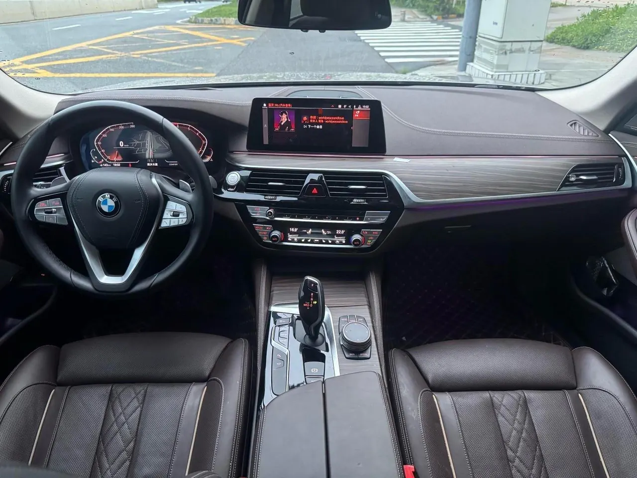 BMW 5 Series 2020 530Li 2.0T Premium Luxury Suit Automatic Gear 7