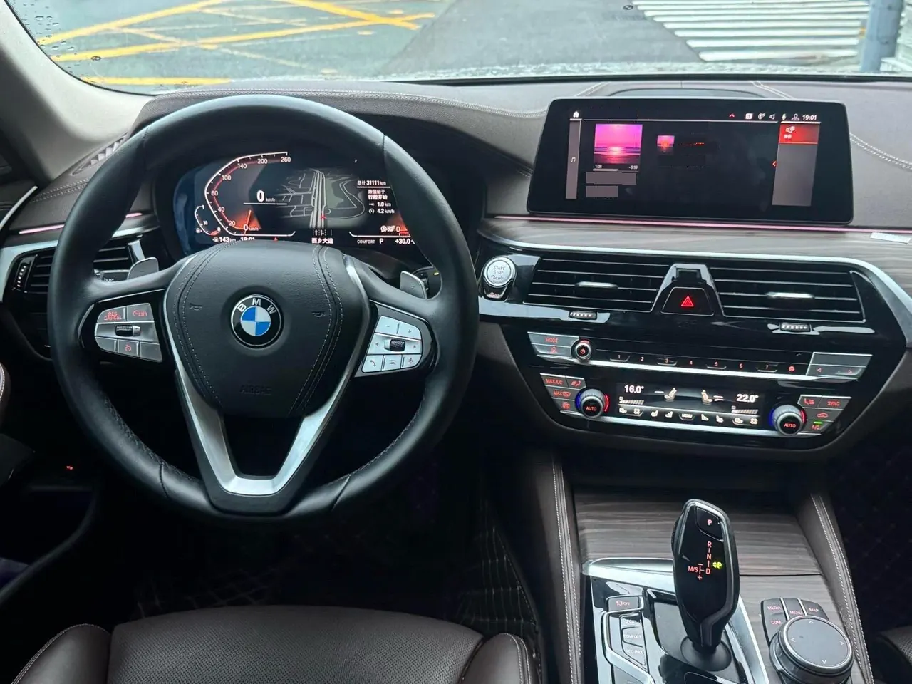BMW 5 Series 2020 530Li 2.0T Premium Luxury Suit Automatic Gear 9