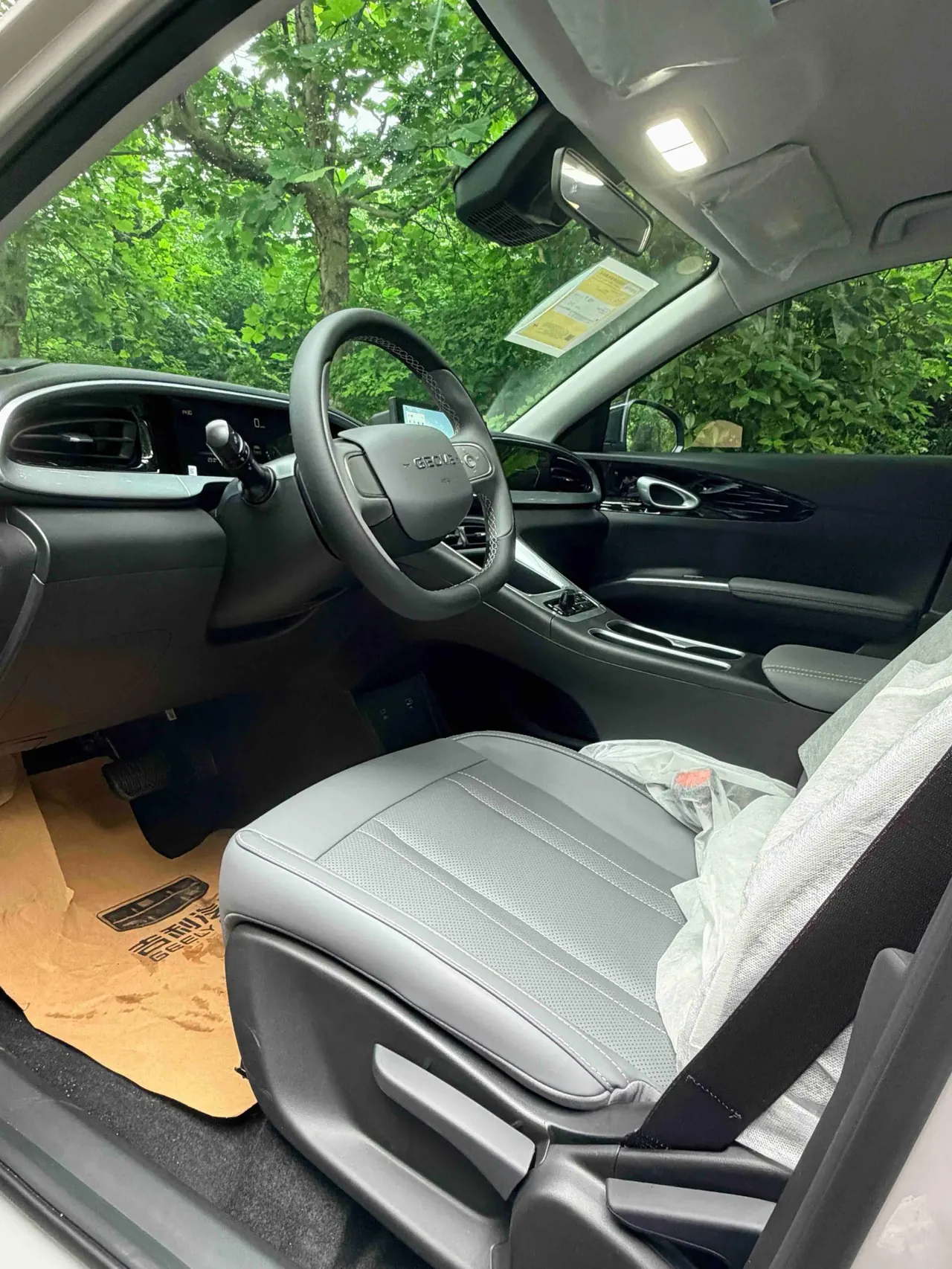 Geely 2026 Star Wish 310km Youth Edition Automatic Gear 3