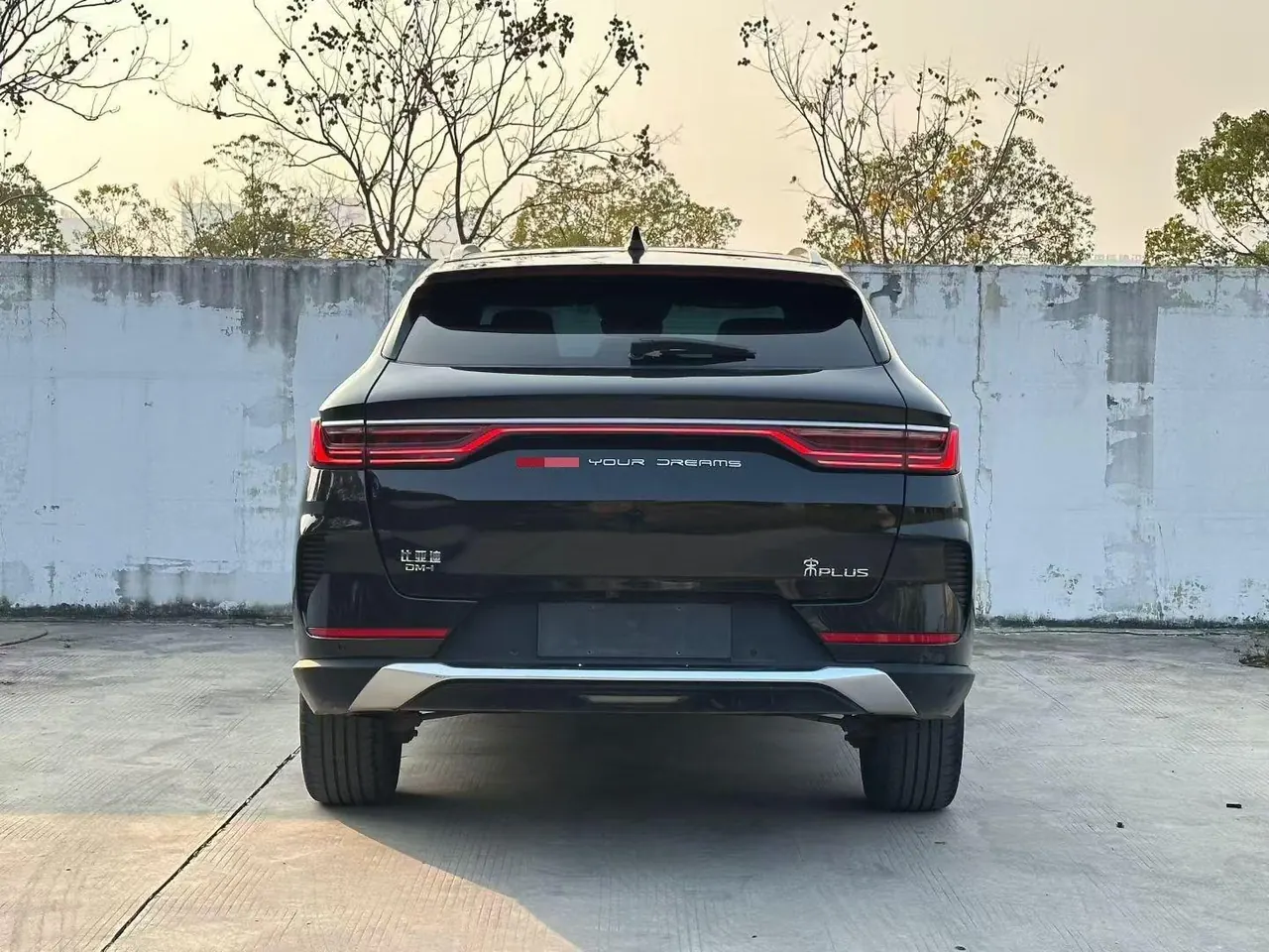BYD Song PLUS New Energy 2021 Song PLUS DM-i 1.5 Stepless 110KM Flagship PLUS Automatic Gear 3