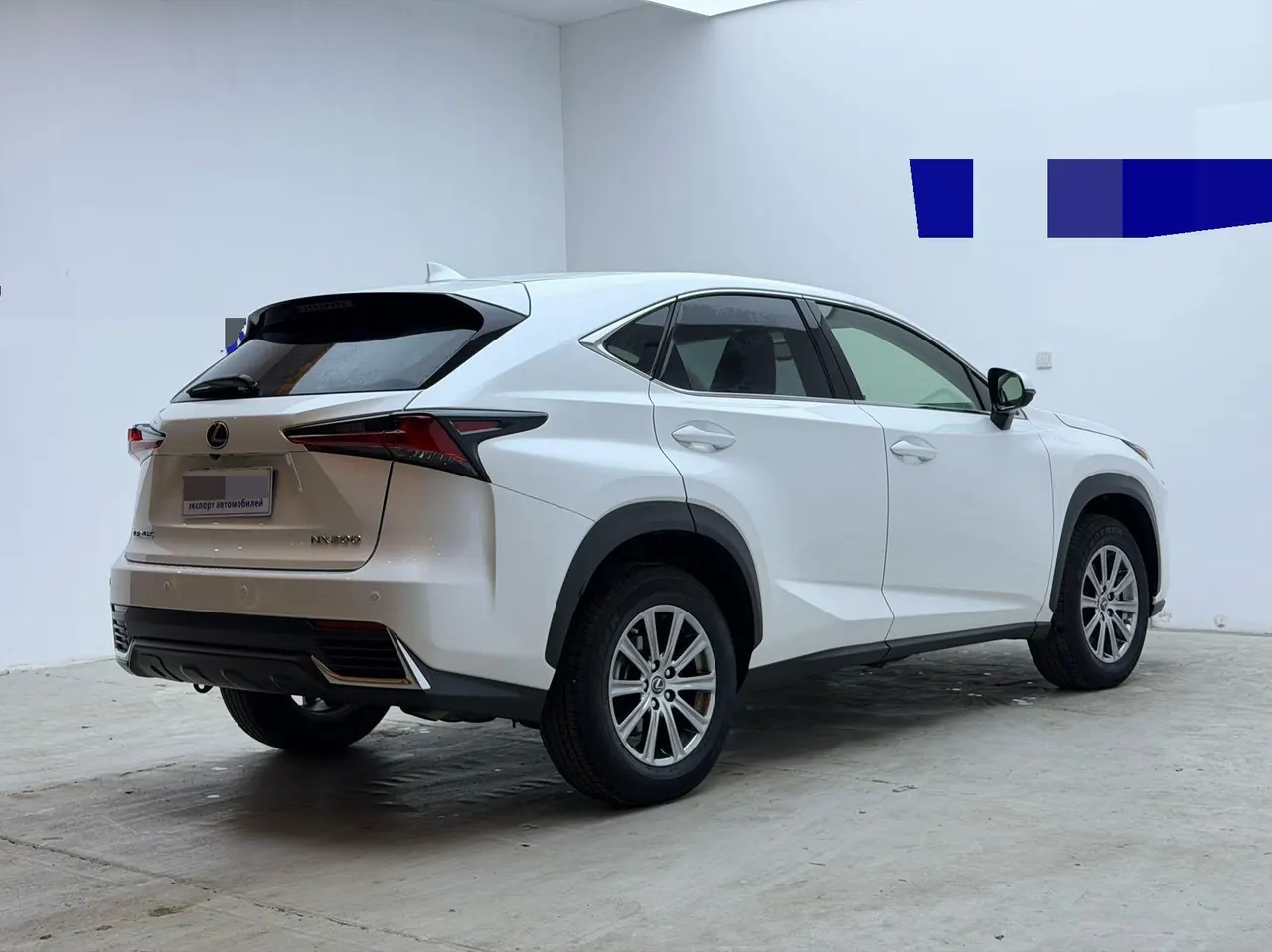 Lexus NX (Imported) 2020 NX200 2.0 Stepless Front Edition Automatic Gear 18