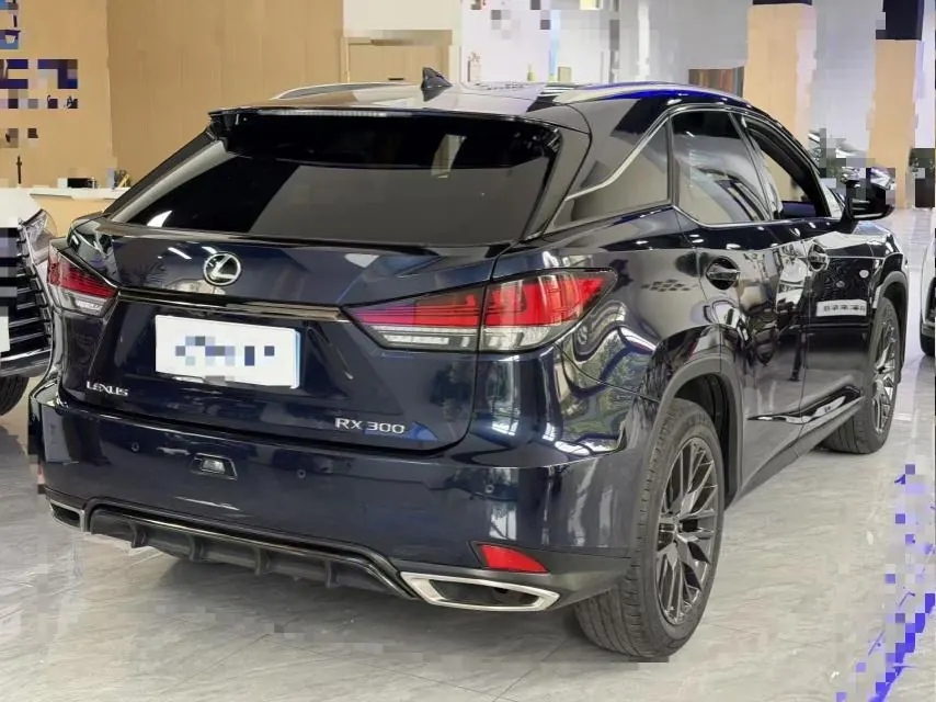 Lexus RX (Imported) 2021 RX300 2.0T Four-wheel Drive Special Edition Automatic Gear 6