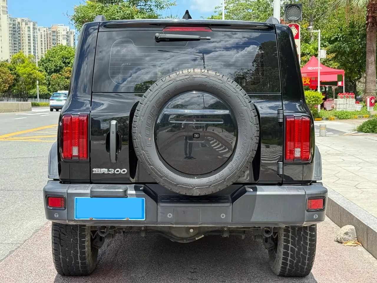 Tank 2021 Tank 300 2.0T Off-road Conqueror Automatic 9