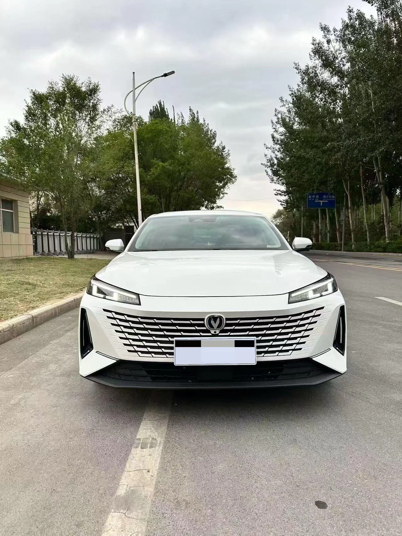 ChangAn 2023 Yida 1.5TGDI Blue Whale NE Flagship Automatic Gear 3