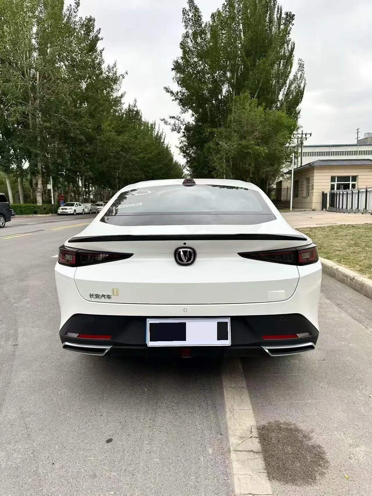 ChangAn 2023 Yida 1.5TGDI Blue Whale NE Flagship Automatic Gear 8