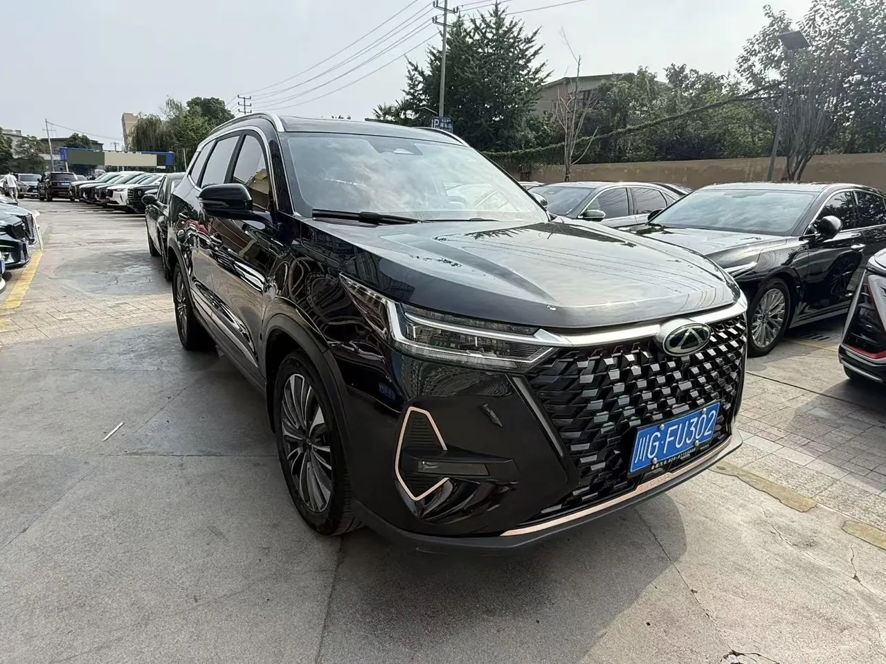 Chery 2024 Ruihu 8 PRO 2.0T 390T Champion Edition Two-Drive Peak Edition 7-seat Automatic Gear 3