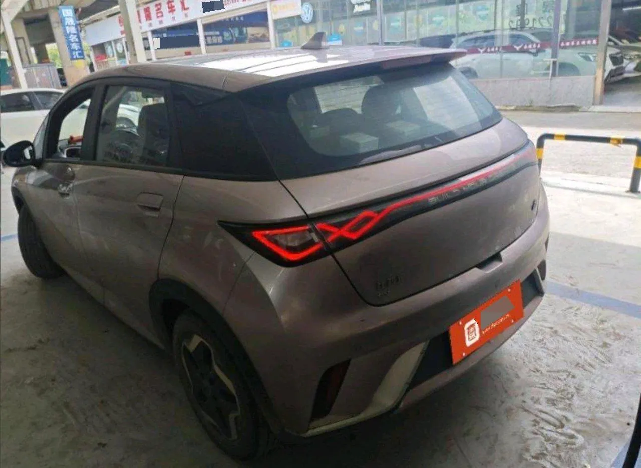 BYD 2021 Dolphins 405km Free Edition Automatic 2