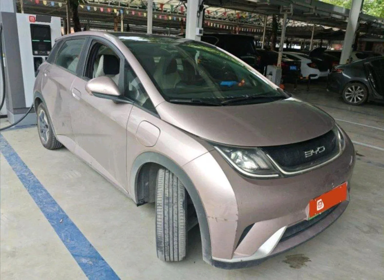 BYD 2021 Dolphins 405km Free Edition Automatic 5