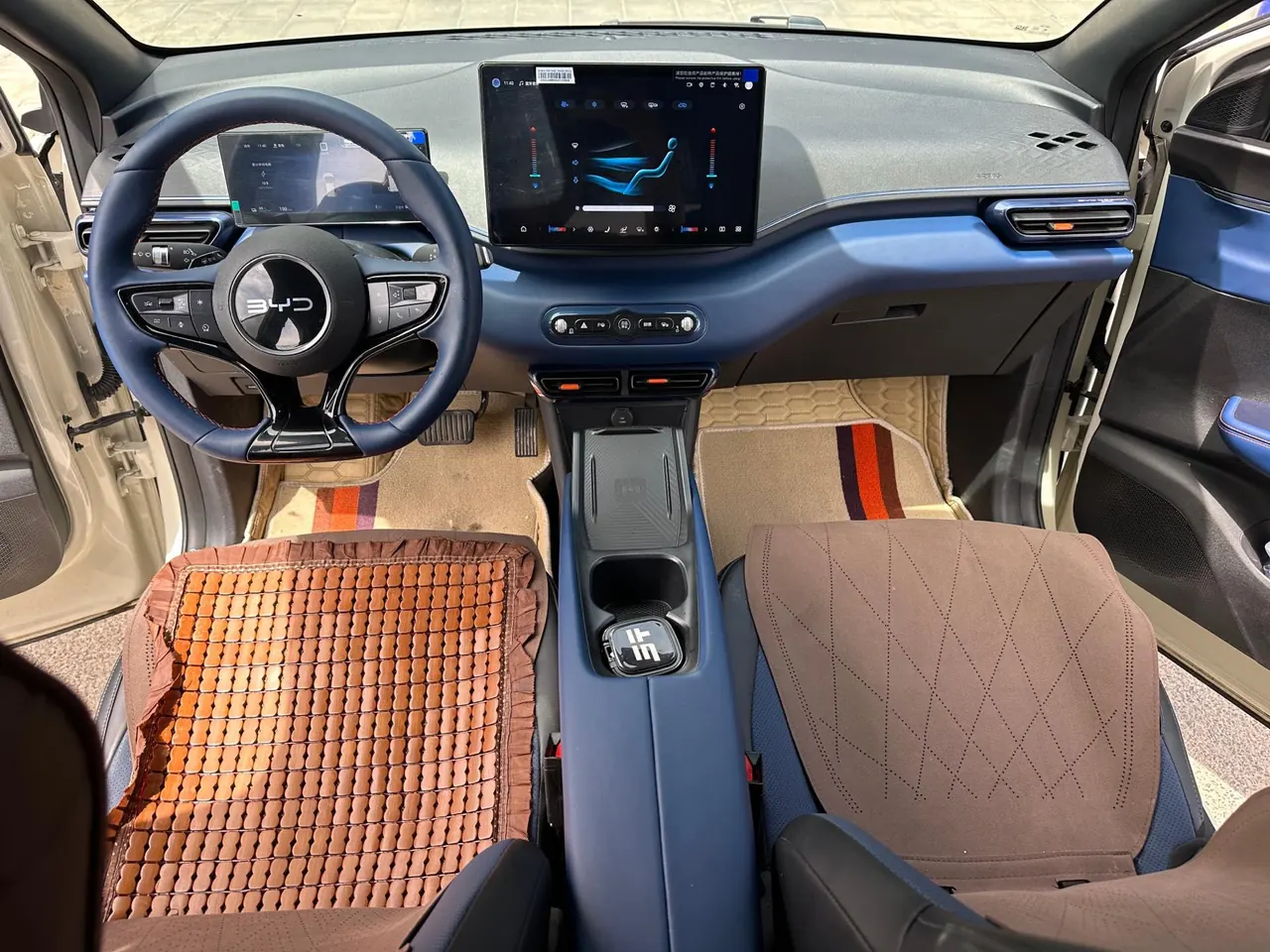 BYD 2025 Seagull Smart Driving Edition 305km Free Edition Automatic Gear 5