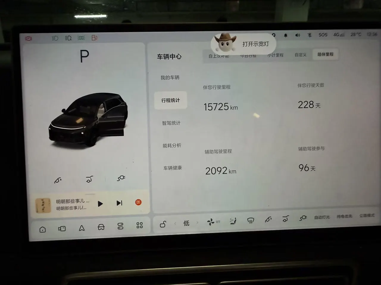Li 2025 L6 Pro Intelligent Rejuvenation Automatic Gear 5