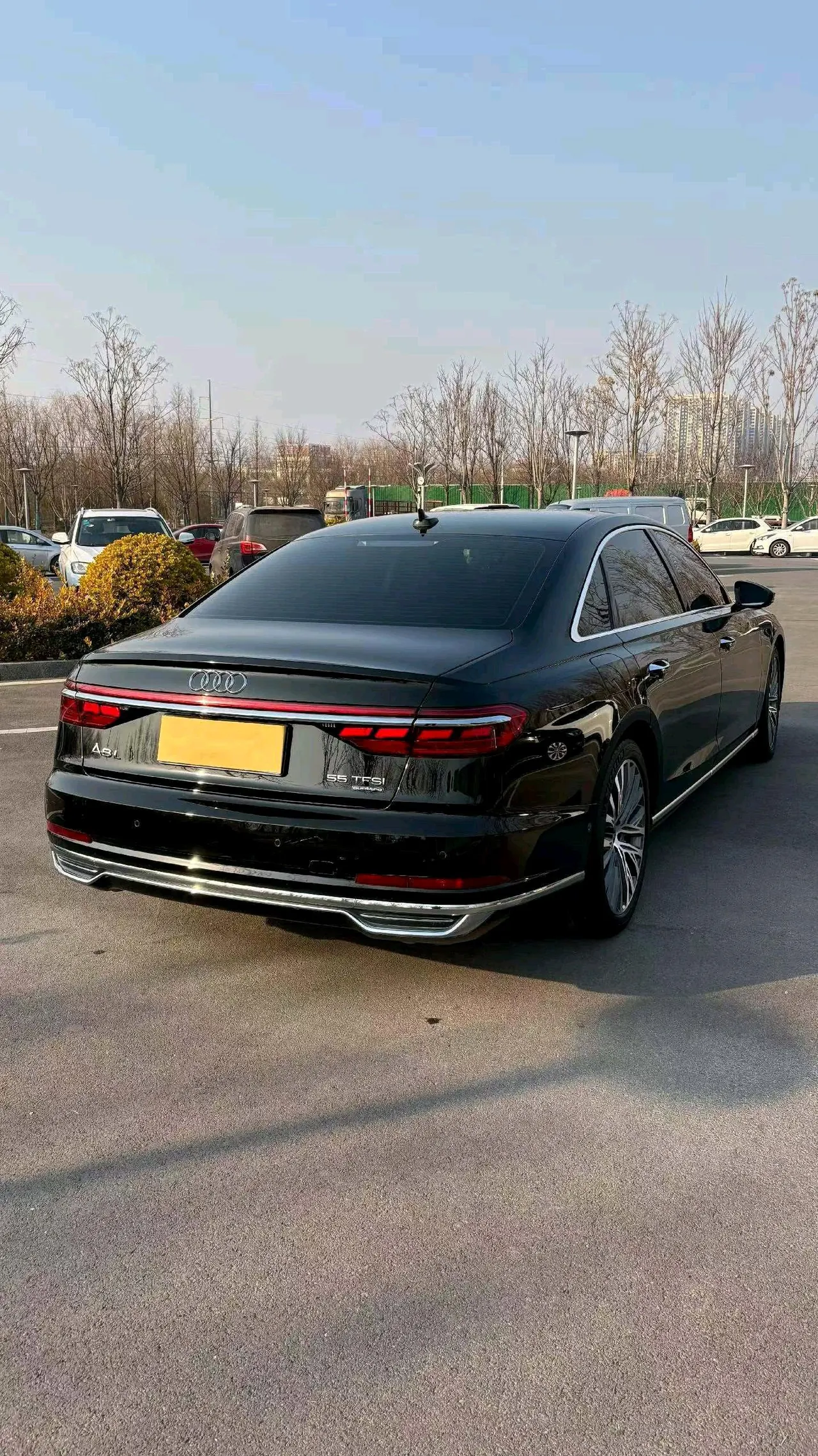 Audi A8L (Imported) 2021 A8L 48V 3.0TFSI 50TFSI Quattro Luxury Automatic Gear 5