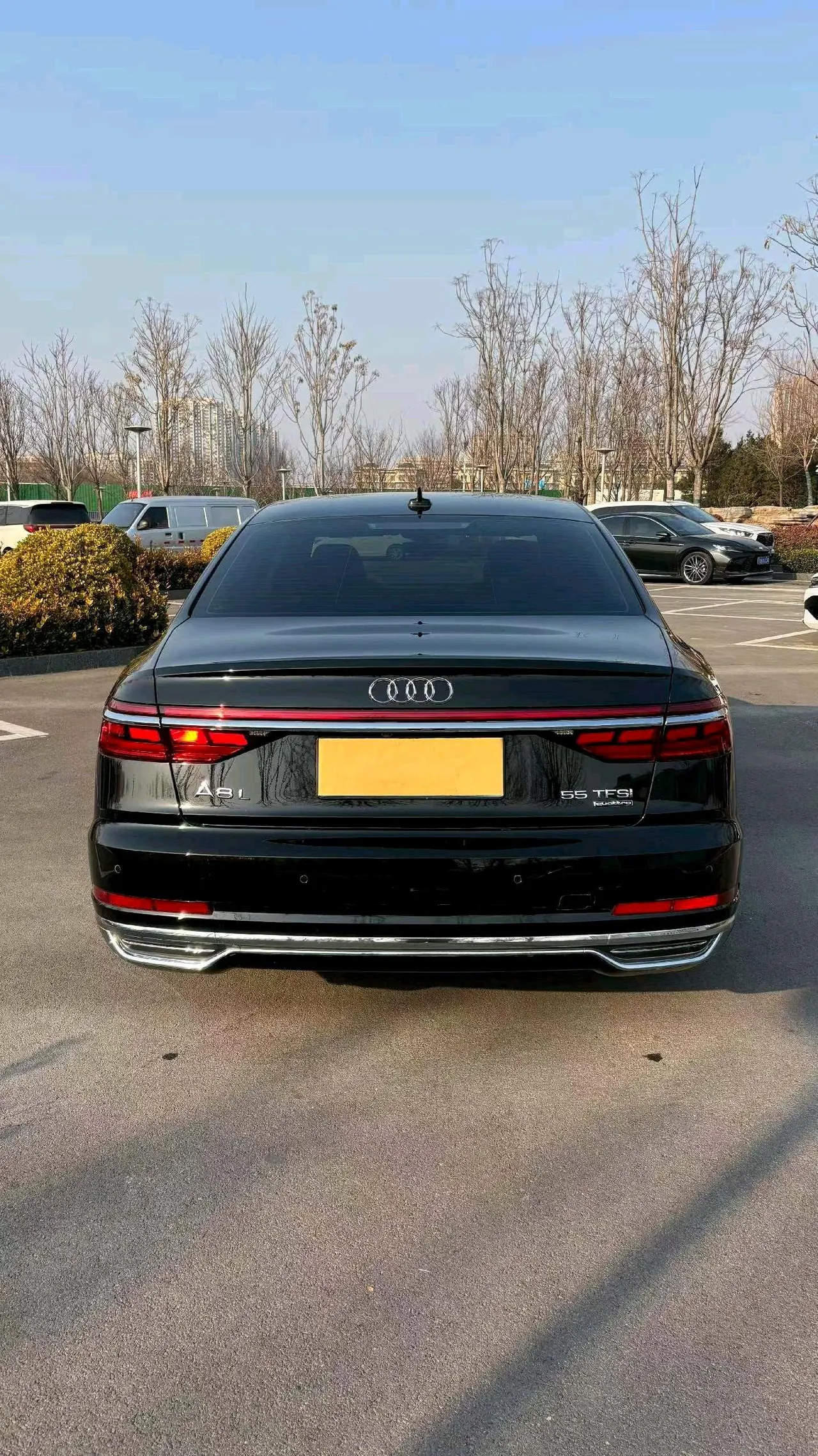 Audi A8L (Imported) 2021 A8L 48V 3.0TFSI 50TFSI Quattro Luxury Automatic Gear 6