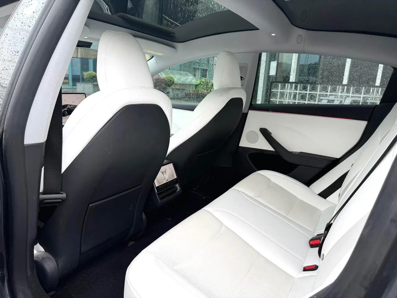 Tesla 2023 Model 3 Rejuvenation Edition Rear Wheel Drive Automatic Transmission 7
