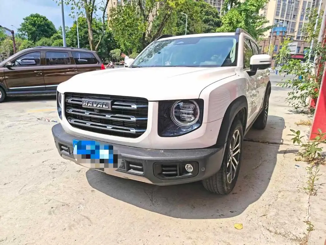 Haval 2021 Big Dog 1.5T Two-Drive Horse Dog Wangcai Edition (Modified) Automatic Gear - View 1
