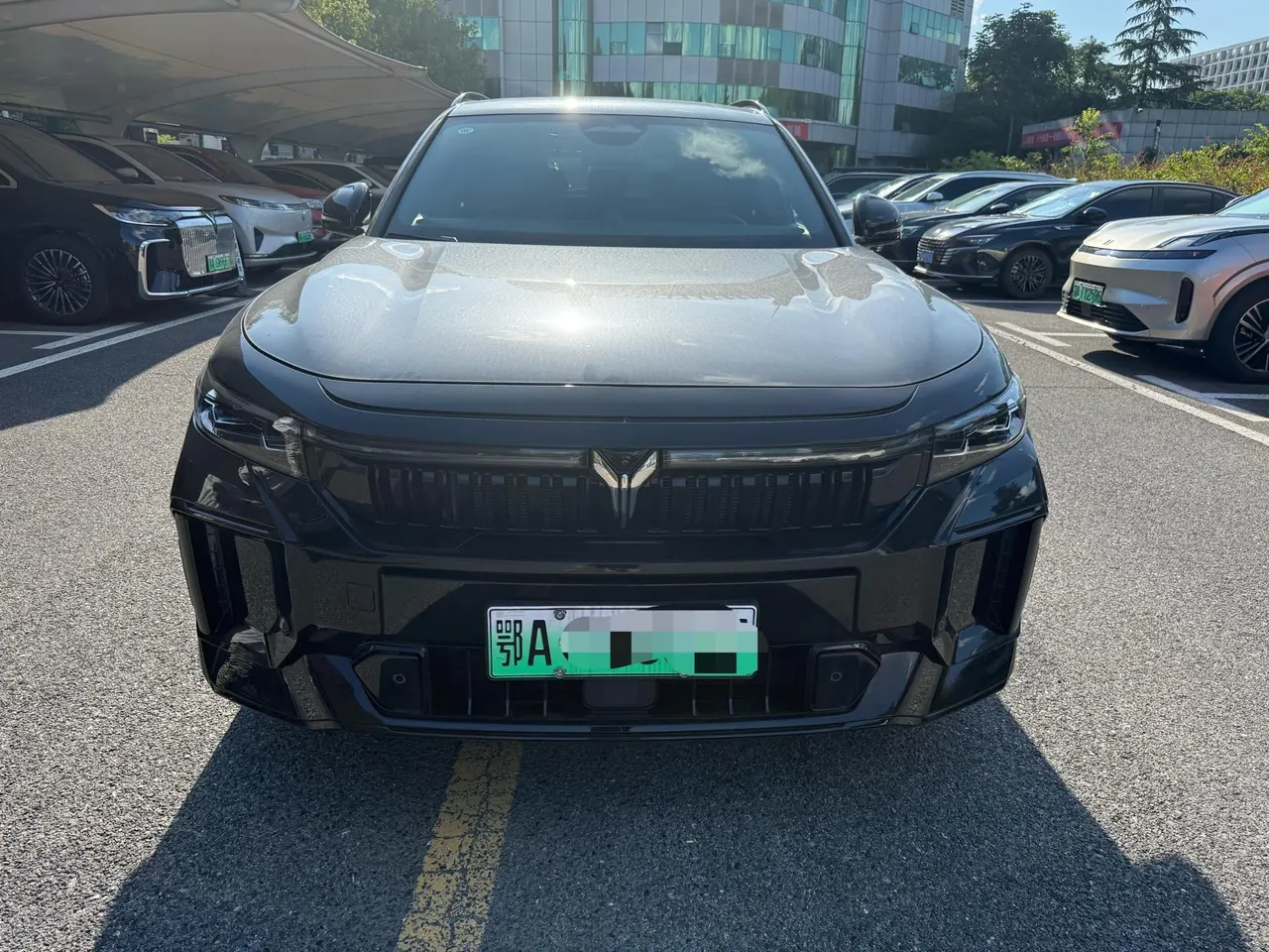 Voyah 2025 FREE 318 259km Four-wheel Drive Exploration Edition Automatic Gear 2