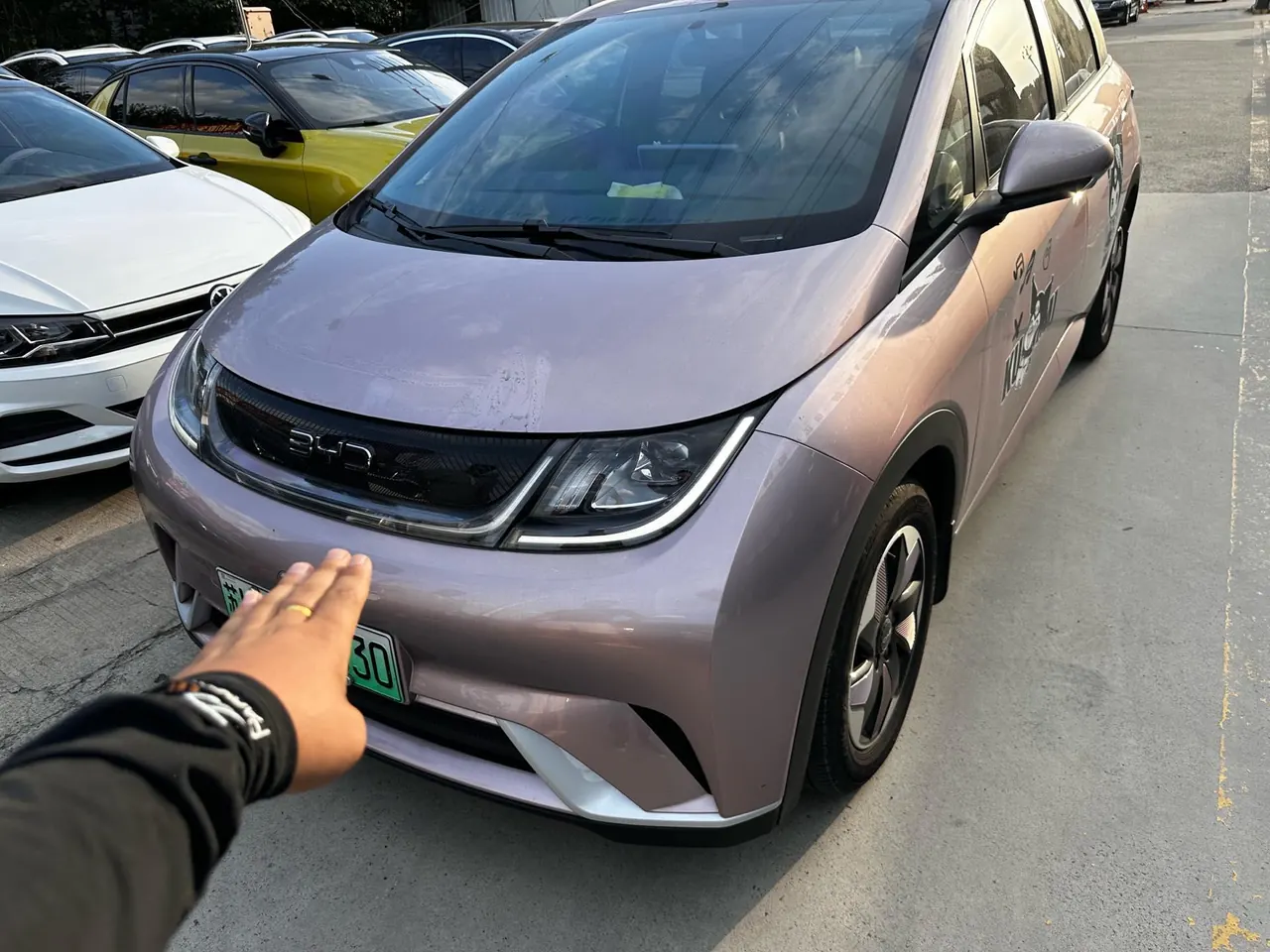 BYD 2023 Dolphins 420km Free Edition Automatic 2