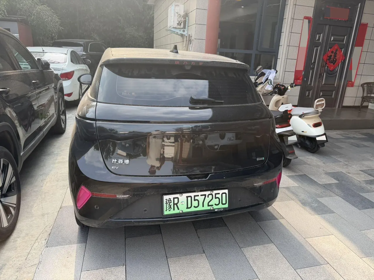 BYD 2025 Dolphin Smart Driving 410km Fashion Automatic Gear 3