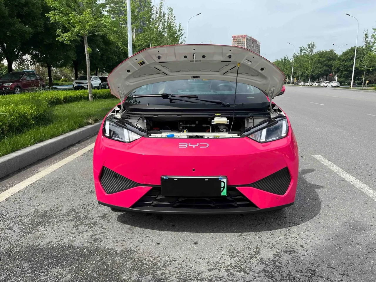 BYD 2025 Seagull Smart Driving Edition 305km Free Edition Automatic Gear 14