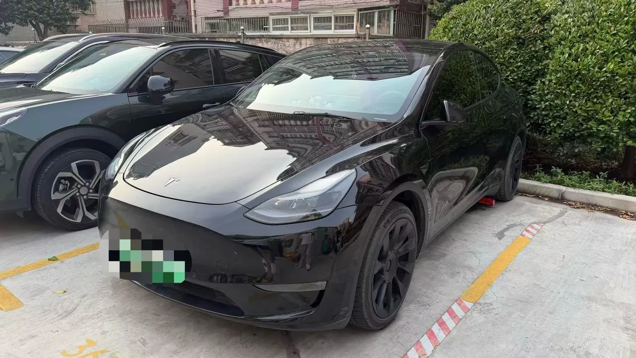 Tesla 2021 Model Y Standard Endurance Rear Drive Automatic Gear - View 1