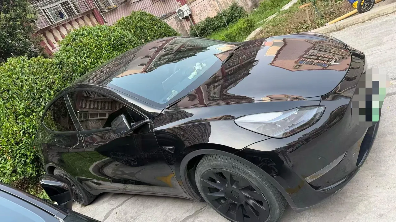 Tesla 2021 Model Y Standard Endurance Rear Drive Automatic Gear 3