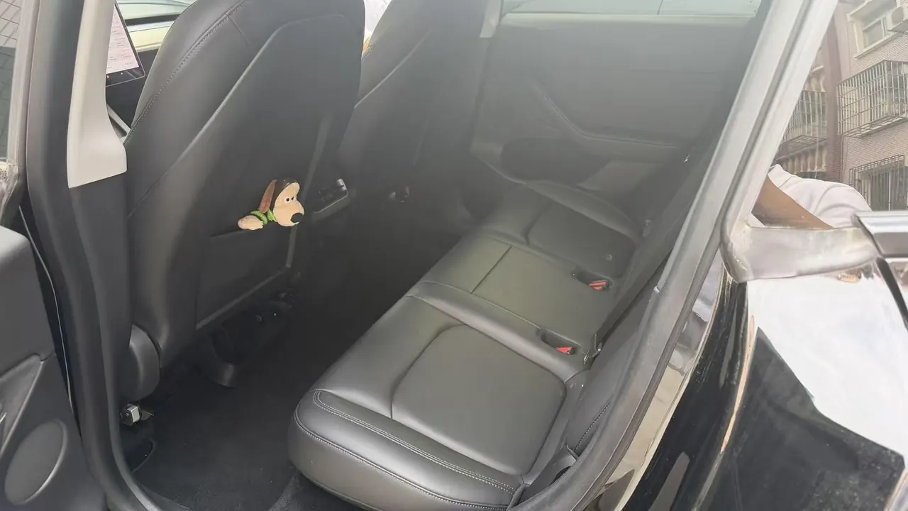Tesla 2021 Model Y Standard Endurance Rear Drive Automatic Gear 6