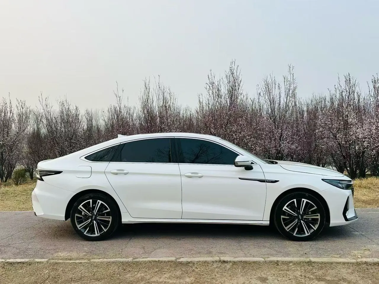 Chery 2024 Erez 8 1.6T Intelligent Automatic Gear 7